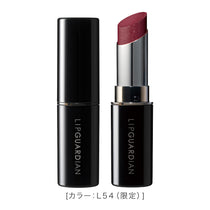 リップガーディアン メロウラッピングルージュ