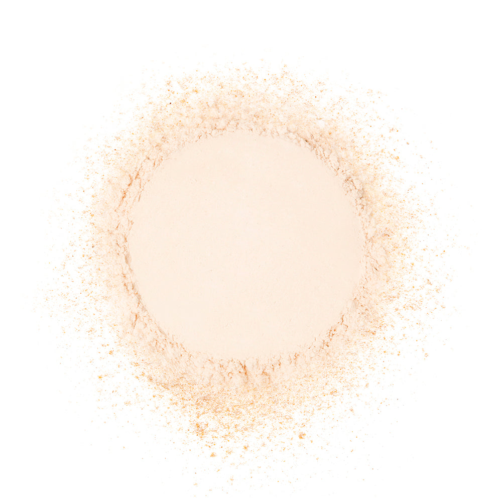 スキンガーディアン ブラッシュオンUVパウダー